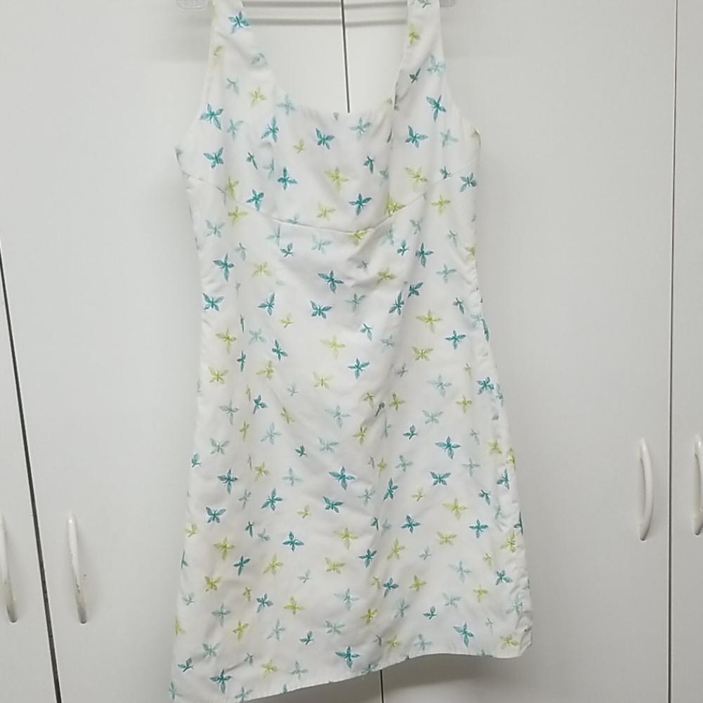 Peace Beyond Passion dress